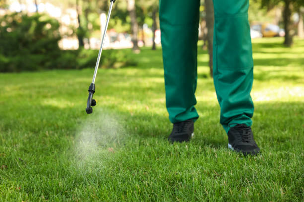 Trusted La Plata, NM Pest Control Experts