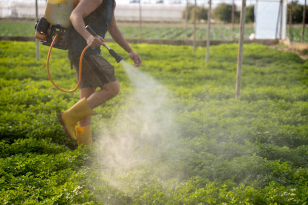 Pest Control for Restaurants in La Plata, NM