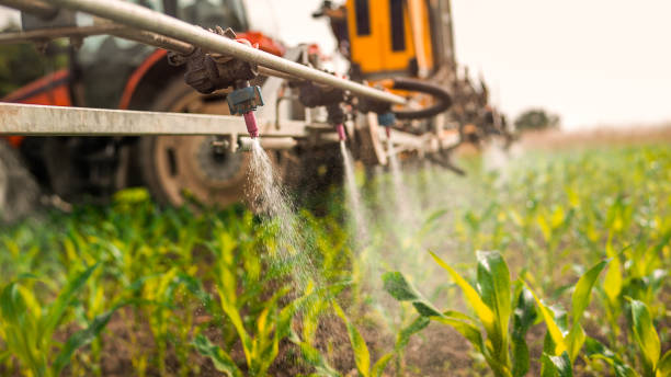 Best Pest Control for Businesses  in La Plata, NM